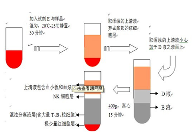 大鼠載脂蛋白B100ELISA試劑盒廠家 上海勁馬實驗設備概述